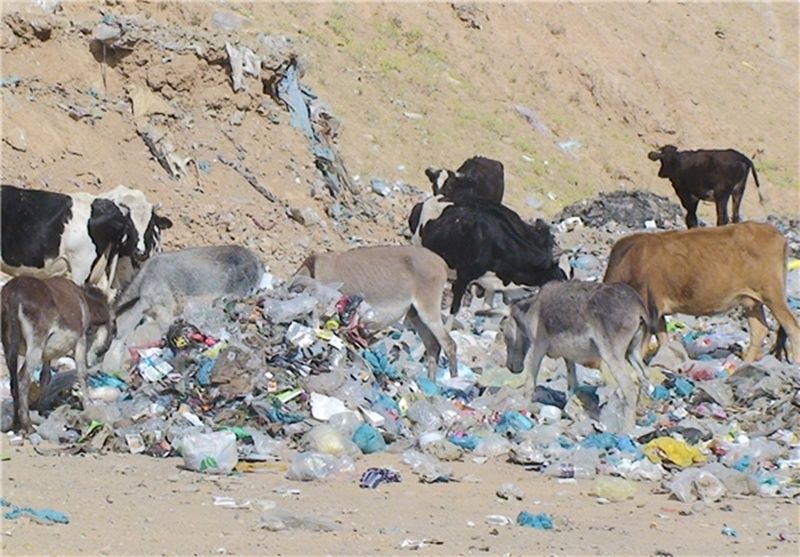 سناریوی حل‌نشدنی جایگاه زباله شهر دیشموک/دود بی‌تدبیری مسئولان به چشم مردم می‌رود