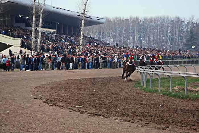 مسابقه اسب دوانی در شهر نقاب برگزار می شود