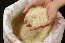 میزان نیم‌دانه‌های برنج کمتر می‌شود
