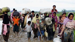 نگاه مسلمانان مظلوم روهینگیا به  پرچمداران واقعی عدالت خواهی و ظلم ستیزی