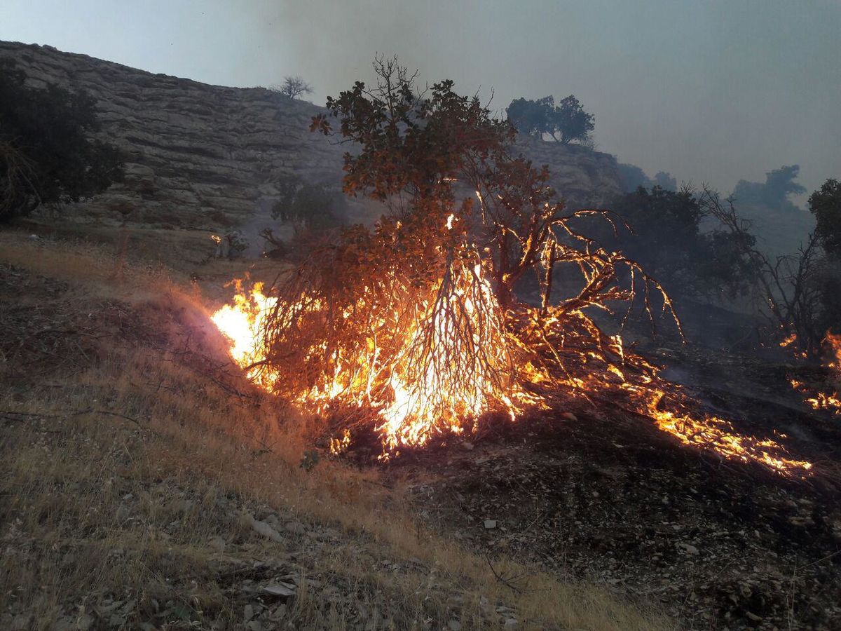 آتش سوزی منابع طبیعی کهگیلویه و بویراحمد ۴۵ درصد کاهش یافت