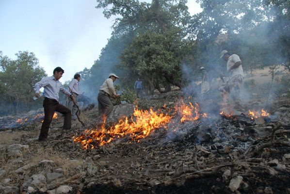 آتش سوزی جنگل های ساری طی ۵۰ سال اخیر بی سابقه بود