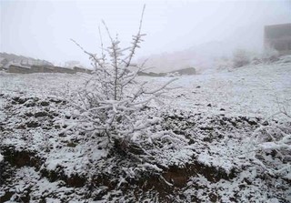 برف پاییزی مناطق کوهستانی استان گیلان را سفیدپوش کرد