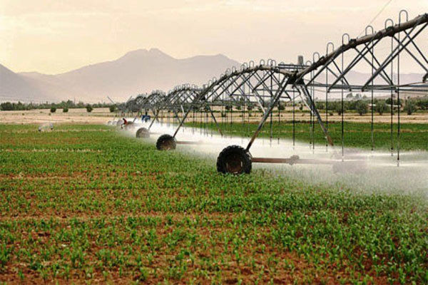 ۴هزارهکتار از اراضی کشاورزی البرز به سیستم نوین آبیاری مجهز می شود