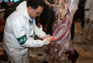 خراسان رضوی مقام اول در تولید گوشت قرمز در کشور 