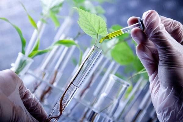 سردخانه جدید بانک ژن گیاهی ملی ایران افتتاح شد