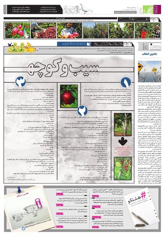 Hasht-07-29-final.pdf - صفحه 4