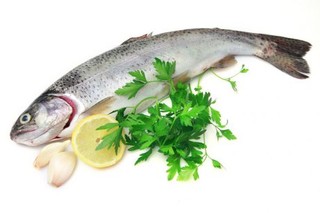 سرانه مصرف ماهی در اردبیل به بیش از ۱۰ کیلوگرم رسید