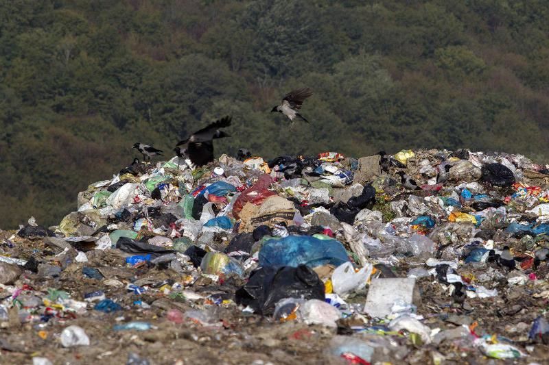 زباله‌های رشت در برابر محیط‌زیست قد کشیدند