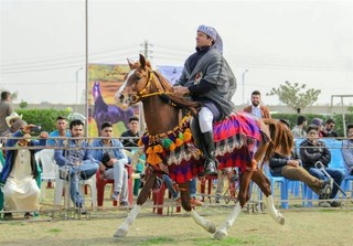 مسابقه کشوری اسب عرب در خوزستان برگزار می‌شود
