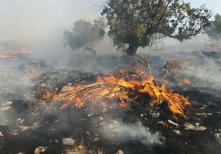 آتش سوزی در غرب مازندران مهار شد