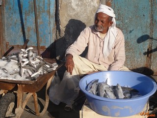 بازار ماهی فروشان بندر عباس در تور اختلاف
