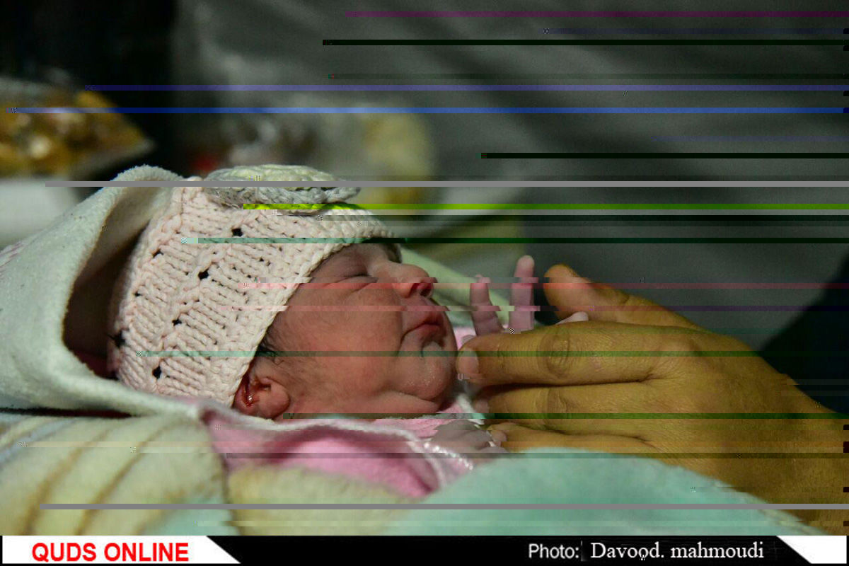 نام بیشترین نوزادان ایرانی «امیرعلی» و «فاطمه» است
