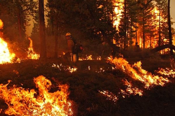 نابودی ۱۳ هزار هکتار از جنگل‌ها و مراتع لرستان بر اثر حریق/ ۹۸ درصد آتش‌سوزی‌ها عامل انسانی دارد