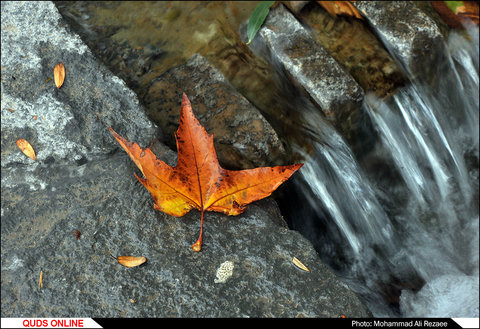 پاییز در پارک کوهسنگی مشهد