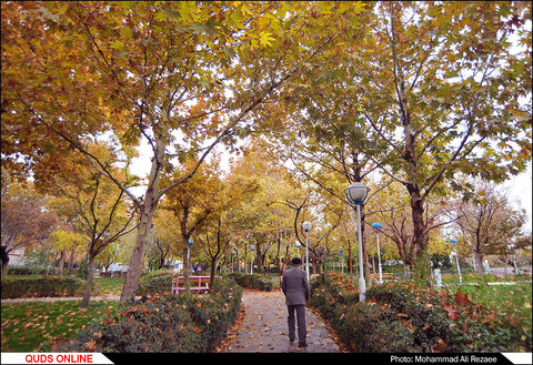 پاییز در پارک کوهسنگی مشهد
