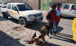 دوره بازآموزی سگ های زنده یاب در کرمان برگزار شد
