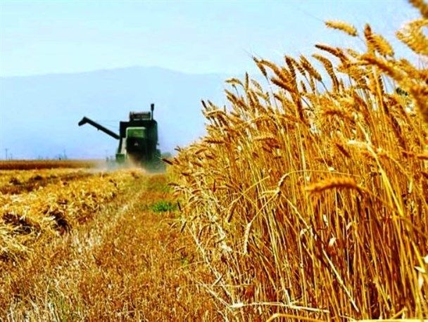 جاماندن کشاورزی کردستان از قافله فناوری روز