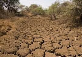 روند خشکسالی در استان یزد بیست ساله شد