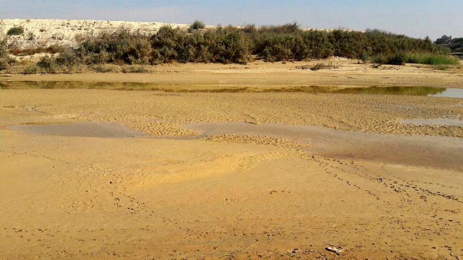 فاجعه خشک شدن رودخانه زهره در شهرستان امیدیه تکرار شده است