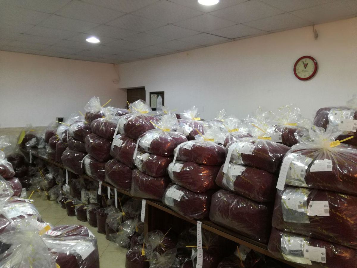 خرید ۱۰تن زعفران حمایتی دولت در تربت جام 