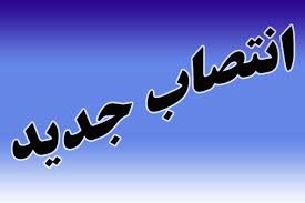 فرمانداران ۹ شهرستان استان کرمان تغییر پیدا کرد