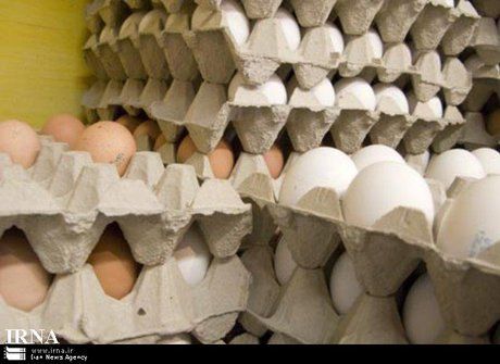 صادرات تخم مرغ متوقف شد

