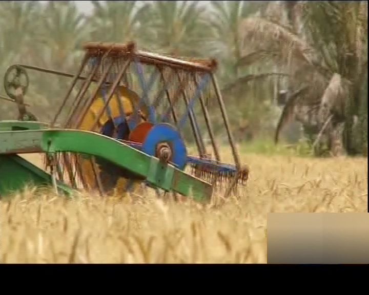 میلیارد تومان تسهیلات به کشاورزان لرستانی پرداخت شد