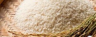 دولت برنج های بومی و با کیفیت استان را به قیمت توافقی خریداری می کند