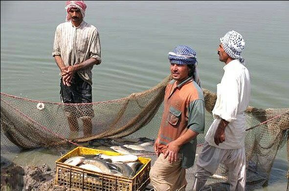 ۳۱ درصد صید ماهی و میگو کل کشور در چابهار و کنارک