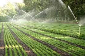 توسعه سامانه نوین آبیاری در مزارع گناباد به همت شرکت کشاورزی رضوی