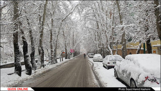 بارش برف در تهران/گزارش تصویری