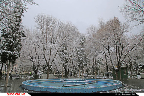 اولین برف زمستانی در شهر قم