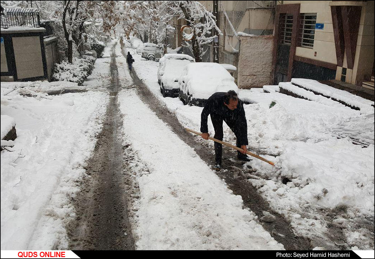 ریه های شهر تهران در بی تدبیری شهرداری روی زمین افتاده است