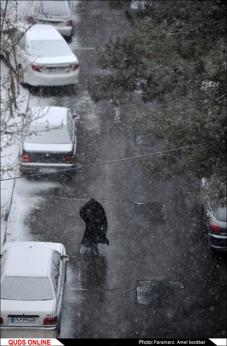 بارش برف در مشهد 