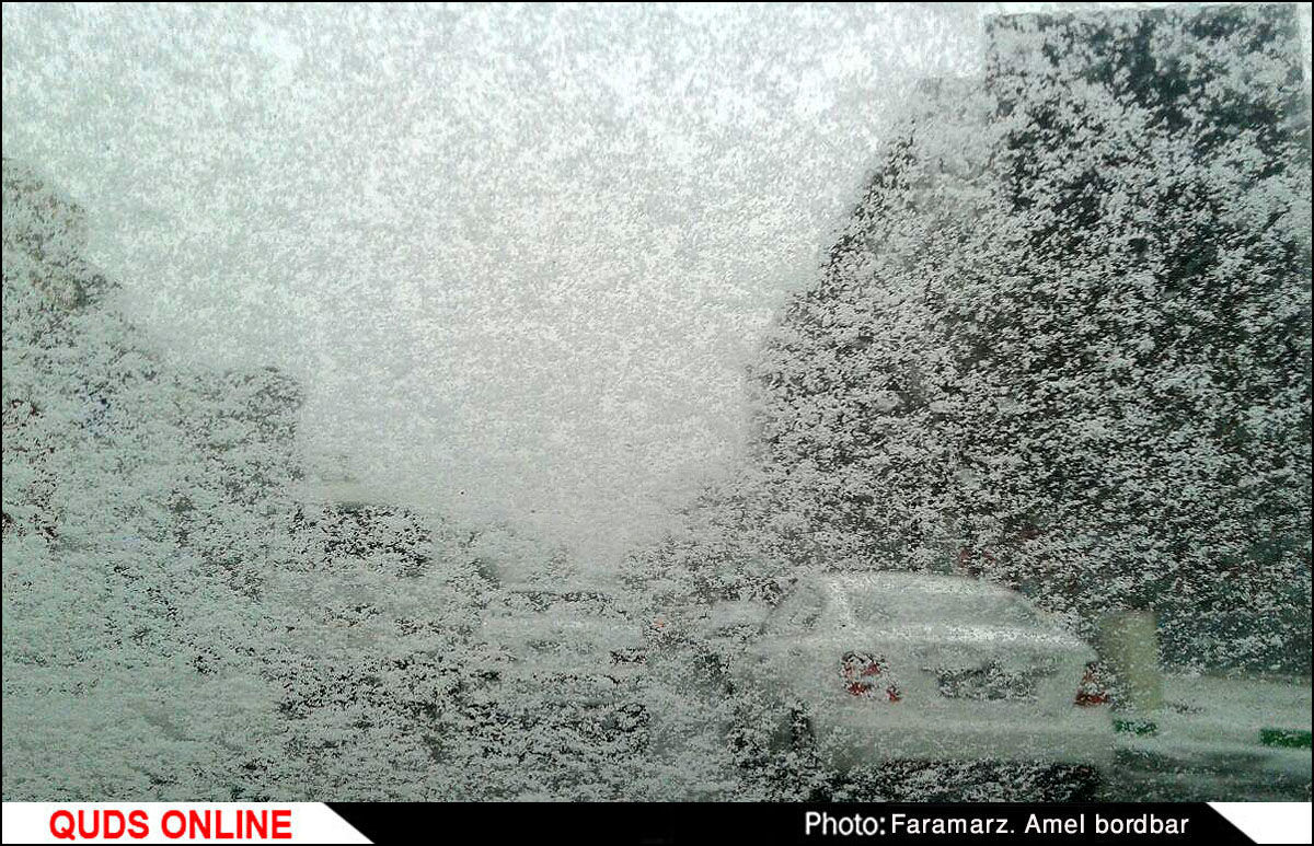 بارش برف در مشهد / گزارش تصویری 