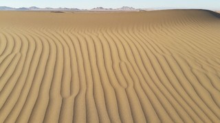 شتربان گم شده در کویر مزینان پیدا شد