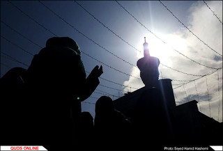 اقامه نماز باران در حرم مطهر امام رضا علیه السلام/گزارش تصویری