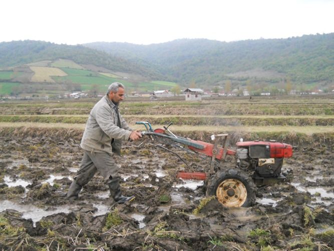 کشاورزان کردستانی برای کشت پائیزه عجله کنند