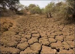 خشکسالی امسال در ۷۰ سال گذشته بی سابقه بوده است