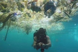 ویدئوی تکان‌دهنده غواص انگلیسی از دریای زباله در سواحل بالی