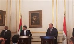 وزیر خارجه مصر: دخالت‌های ترکیه و ایران اوضاع سوریه را پیچیده کرده است