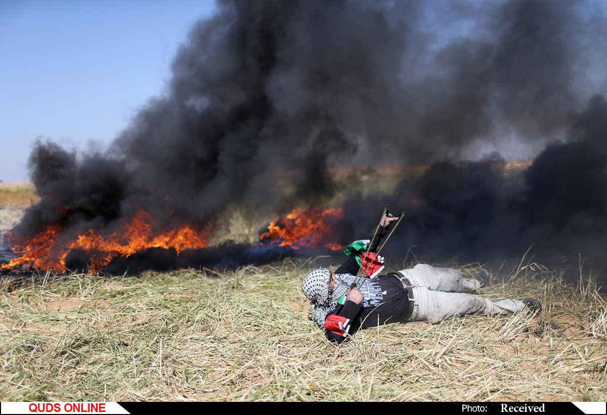 صهیونیست‌ها با حمله به کرانه باختری چند فلسطینی را بازداشت و مزارع را به آتش کشیدند
