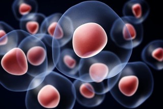 گام محققان در ژن درمانی با بررسی سلول های قرمز خونی