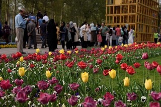 «جشنواره لاله ها» ظرفیت نوظهور گردشگری البرز