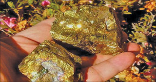 معدن طلا در خراسان شمالی شناسایی شد