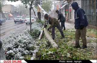 بارش برف در قوچان / گزارش تصویری