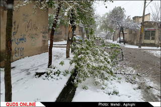 احتمال بارش برف در ۵ استان/ هشدار نسبت به لغزندگی جاده‌ها 