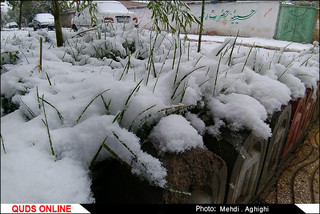 سازمان هواشناسی: بارش برف در ۸ استان پیش‌بینی می‌شود/ هشدار نسبت به وقوع سیلاب
