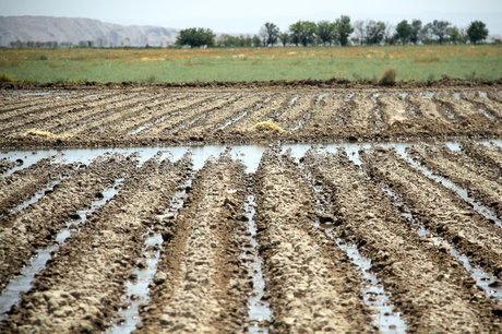 آب انتقالی به یزد مصرف کشاورزی ندارد 